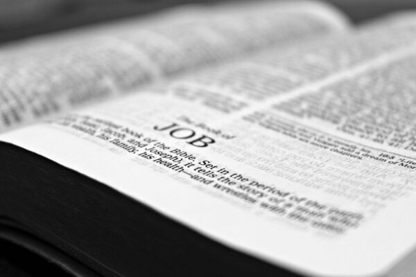 NIV Bible